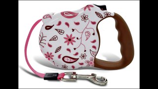 26 Bars & a Band Avant Garde Retractable Dog Leash-Harness Collection