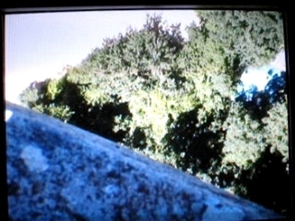 Saut-nicolas