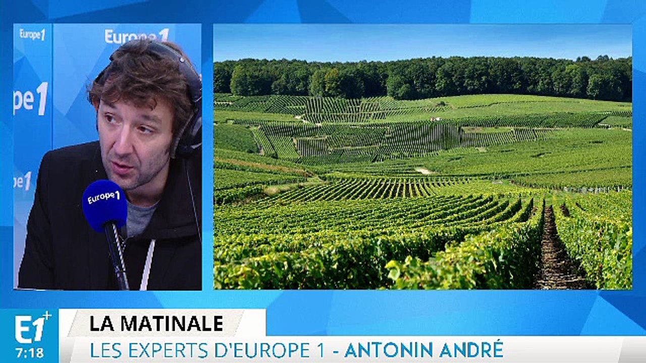 La Cour des comptes épingle la France sur le problème de l'alcool et ce que vaut réellement Zlatan sur le terrain : les experts d'Europe 1 vous informent