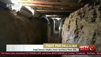 Iraqi forces retake further territory from ISIL