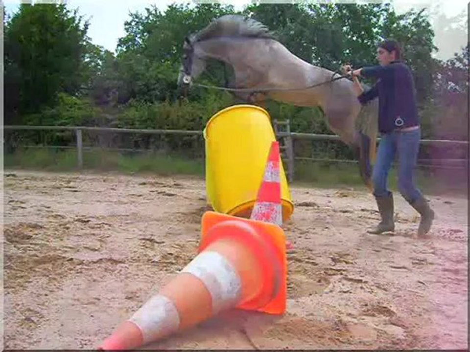 Perle liberte et candy liberter_0002