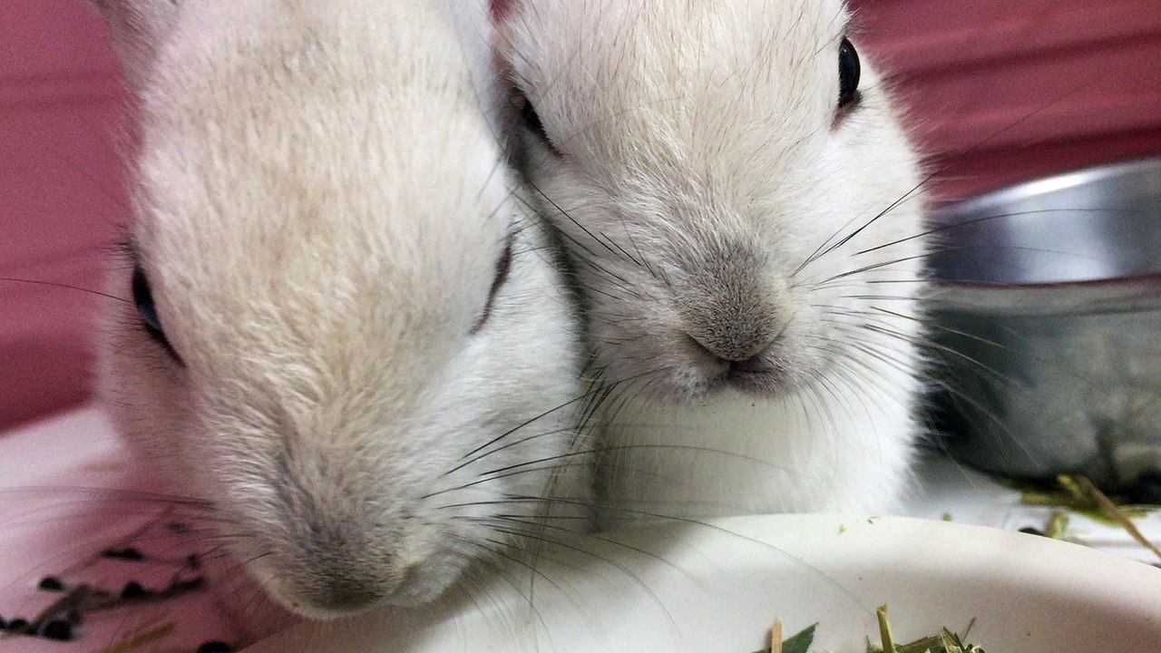 eating