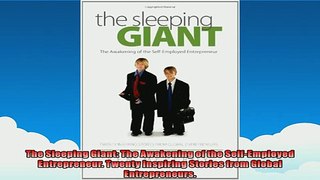 FREE DOWNLOAD  The Sleeping Giant The Awakening of the SelfEmployed Entrepreneur Twenty Inspiring  FREE BOOOK ONLINE