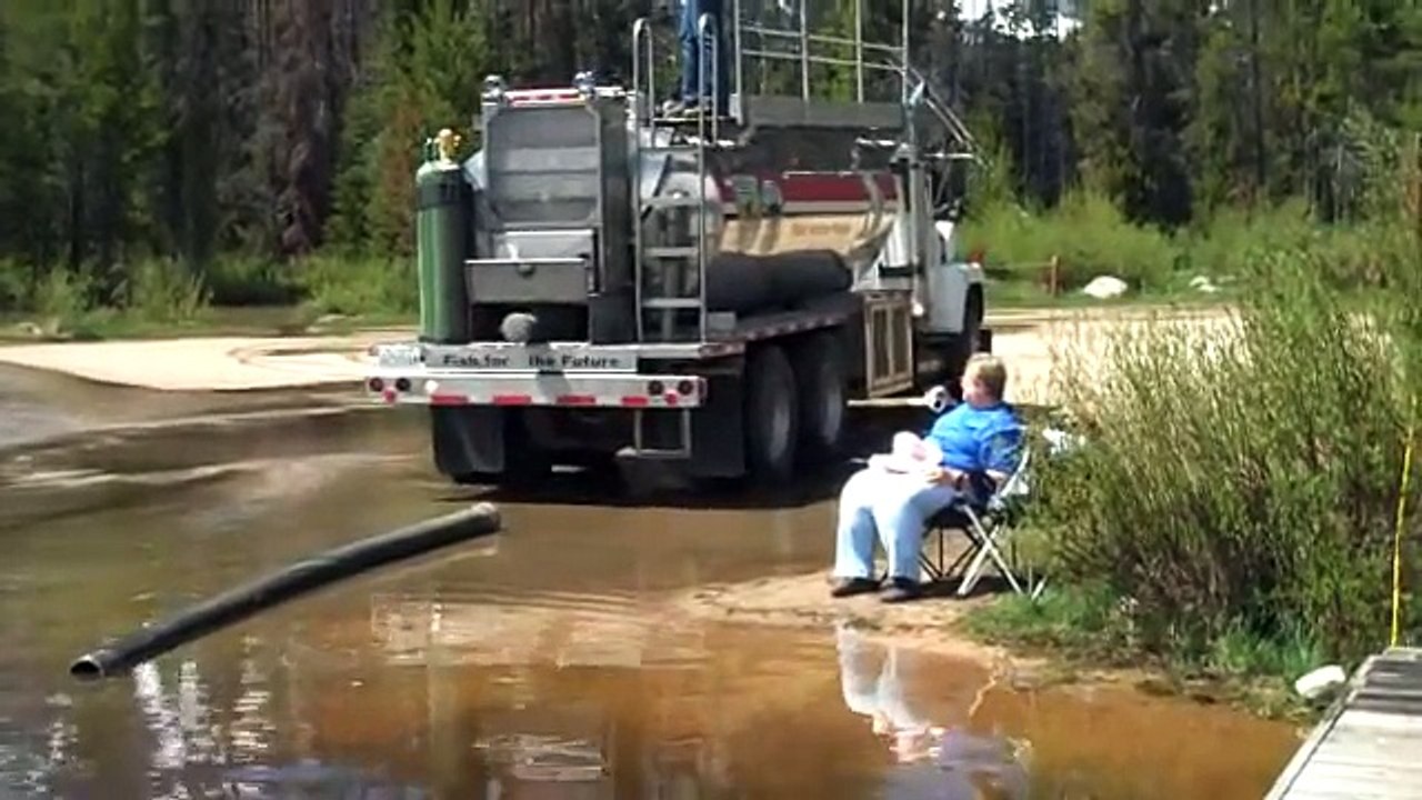 Lâcher de centaines de poissons dans un lac aux Etats Unis