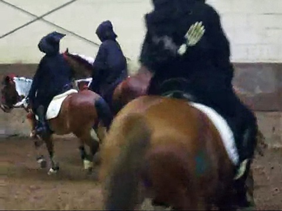 PC De Duindravertjes - Ponyspeldag 23 Januari 2011