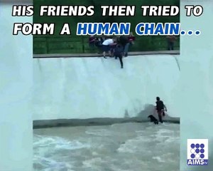 کتے کو بچانے کے لیے انسان نے اپنی جان داؤ پر لگادی