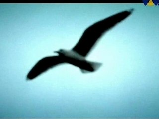 Blank & Jones - Watching  The Waves