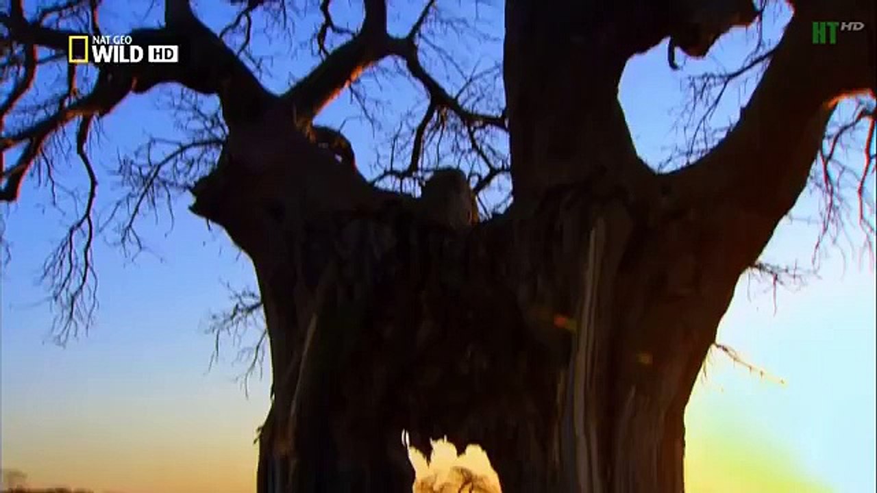 MILLIE MACKINTOSH TANYA BURR CELEB STYLE (35)
