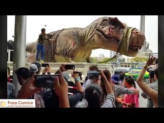 Faze Comice Faze Tari 2016