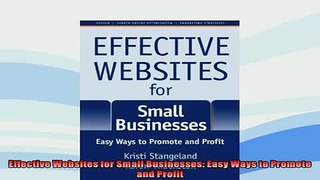 FREE PDF  Effective Websites for Small Businesses Easy Ways to Promote and Profit READ ONLINE