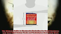 READ book  The Ultimate Guide to Electronic Marketing for Small Business LowCostHigh Return Tools  FREE BOOOK ONLINE