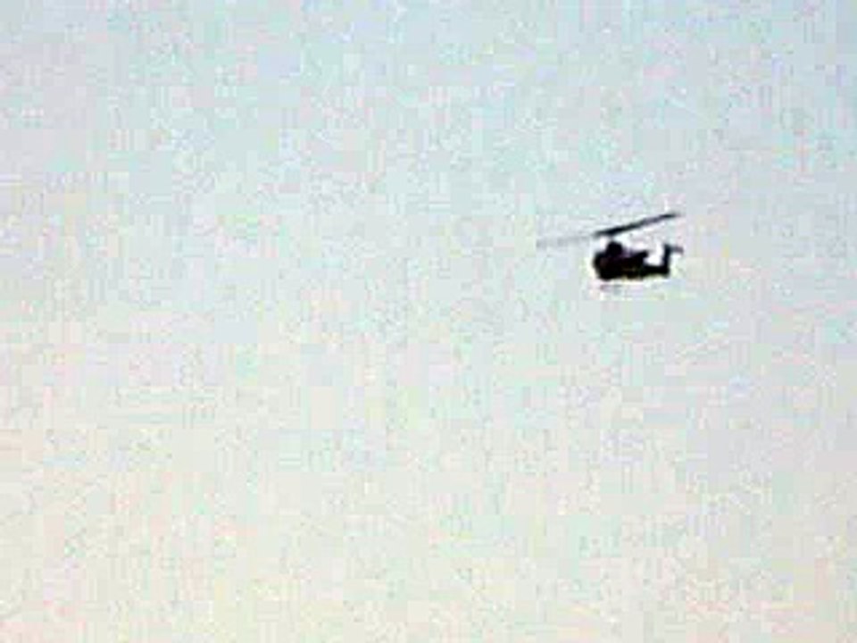 COBRA SHOOT OP-10   JULY 6, 2008, CAS in Kuwait 2/5 FAC's