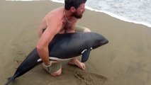 Un prof de kayak sauve un bébé dauphin échoué