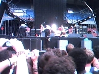 Flea flea flea flea....