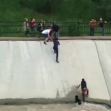 Des jeunes prennent des risques pour sauver un chien dans une rivière