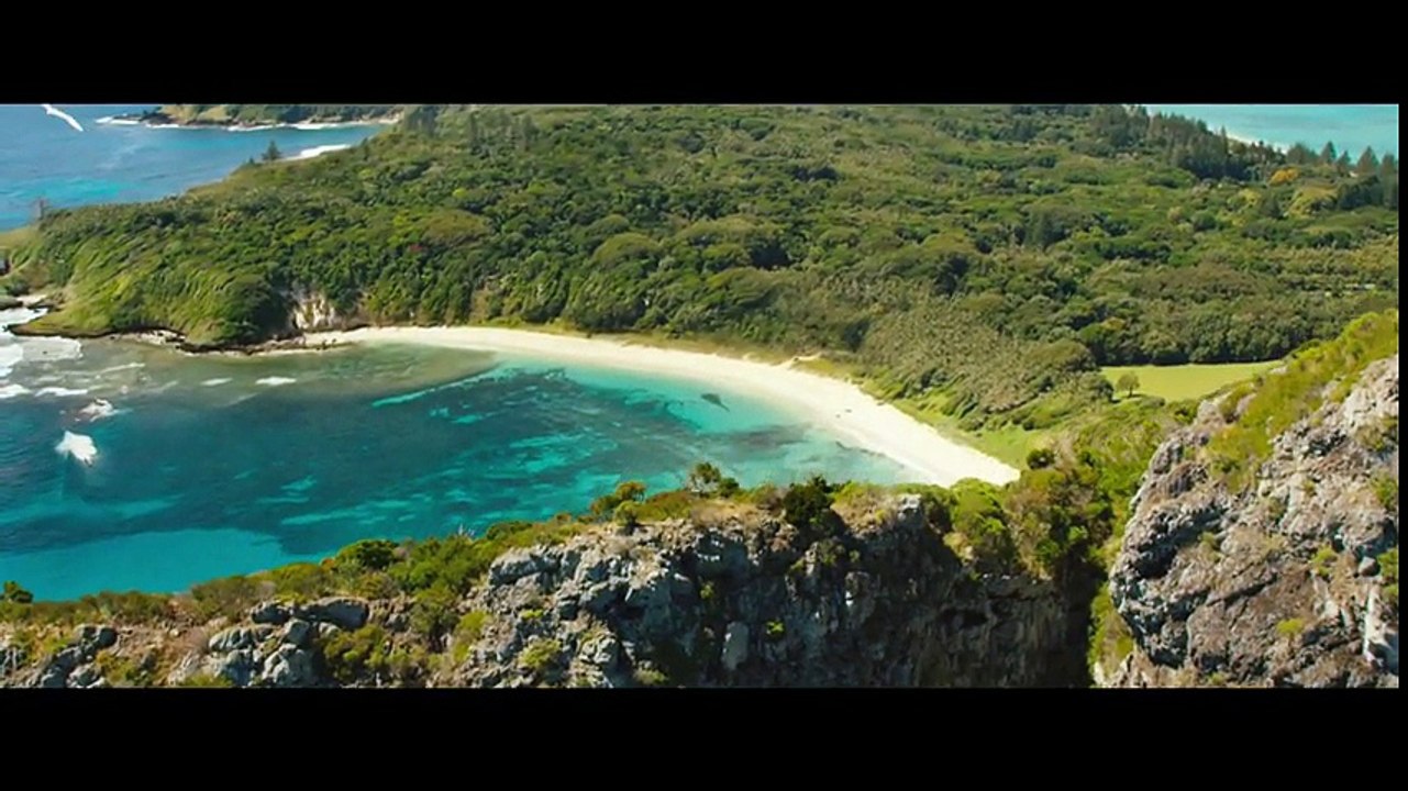 The Shallows (2016)