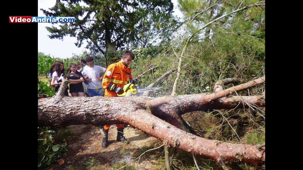 Tornado ad Andria si abbatte su una villa con bambini e distrugge alberi