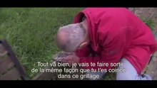 Malgré les menaces de la maman cygne, il arrive à sauver le bébé coincé dans le grillage