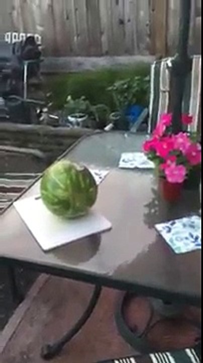 Ali dcoupe une pastque avec un sabre
