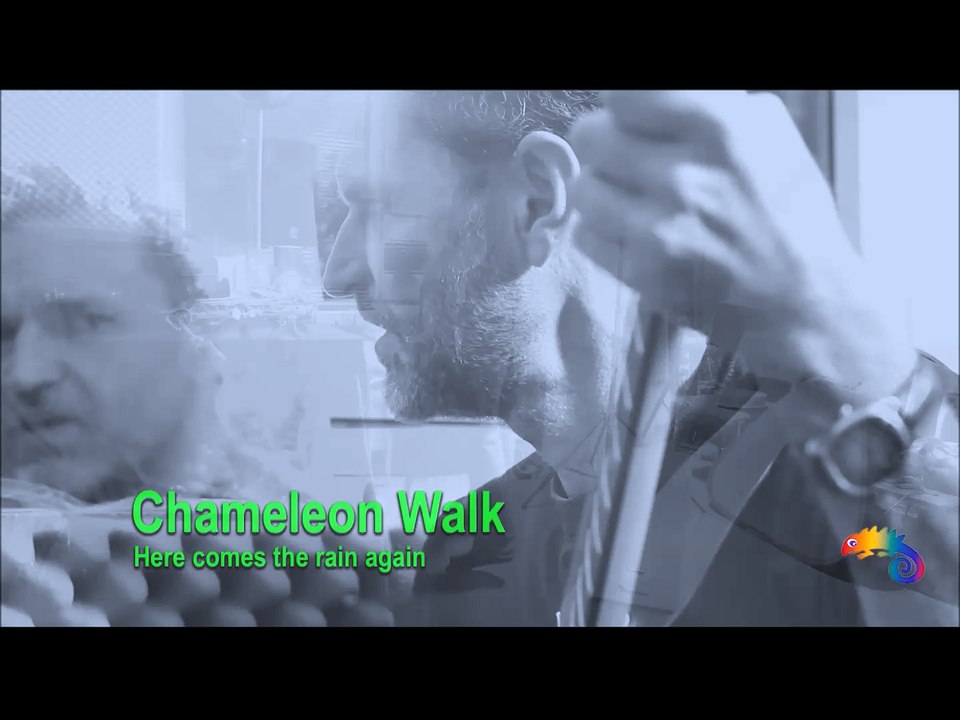 Chameleon Walk (Erfurt/Germany) - Here Comes the Rain Again - Cover for Guitar & Saxophon