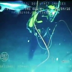 Ce plongeur est attaqué par surprise par un espadon