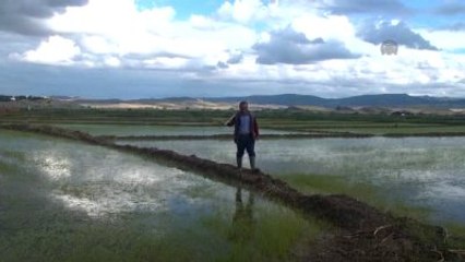 Sabah Çiftçi Akşam Öğrenci