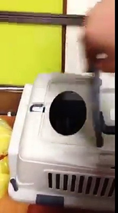 Ce chat veut faire la sieste sans quon le dérange