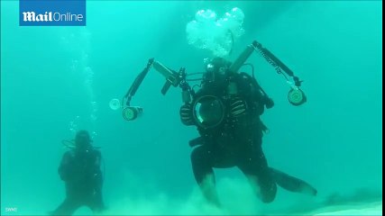 Il se laisse mordre par un requin pour montrer comment réagir en cas d'attaque