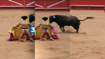 Signes du Toro - juin 2016 - Bande annonce