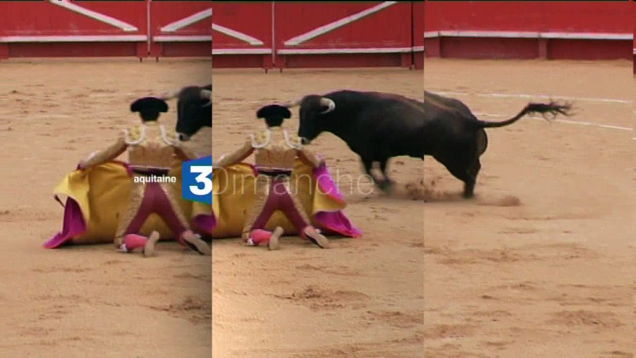 Signes du Toro - juin 2016 - Bande annonce