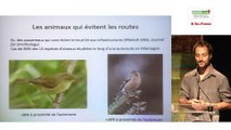 Biodiversité : déplacement de la faune et effets de la fragmentation par Maxime ZUCCA, Natureparif