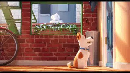 ╞╪◉Watch The Secret Life of Pets (2016) ''fULl☼MOviE Streaming