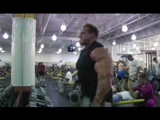 Hammer Curls