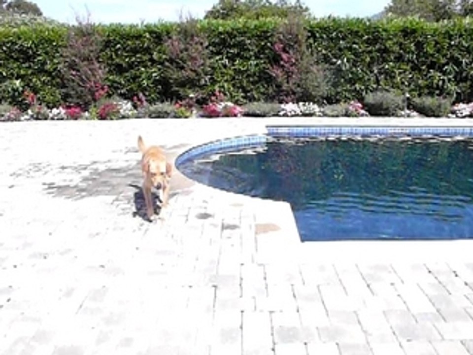 Marisol running 3