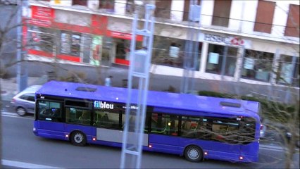 Irisbus Citelis 12 N°977 Fil Bleu