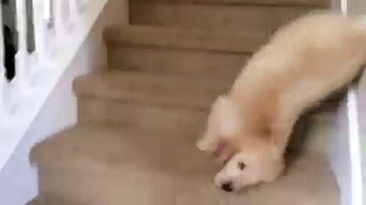 ''Food is ready''