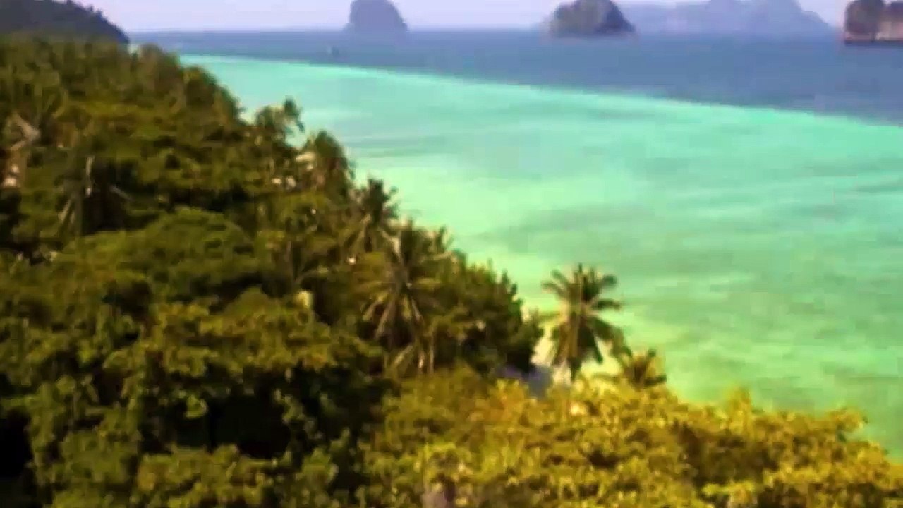 Big Five Asien - Der Amur Tiger | E04/5 [Doku]