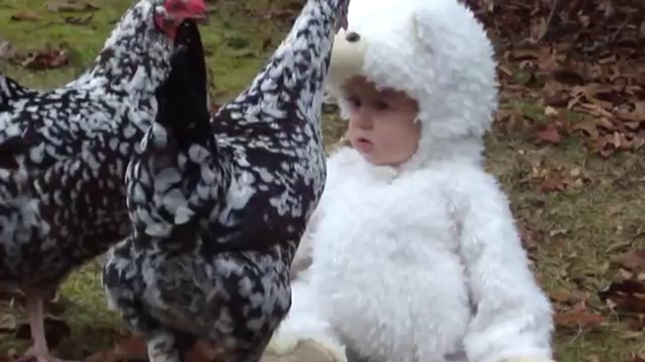 Babies Love Chicken