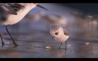 Piper First Look 🚀