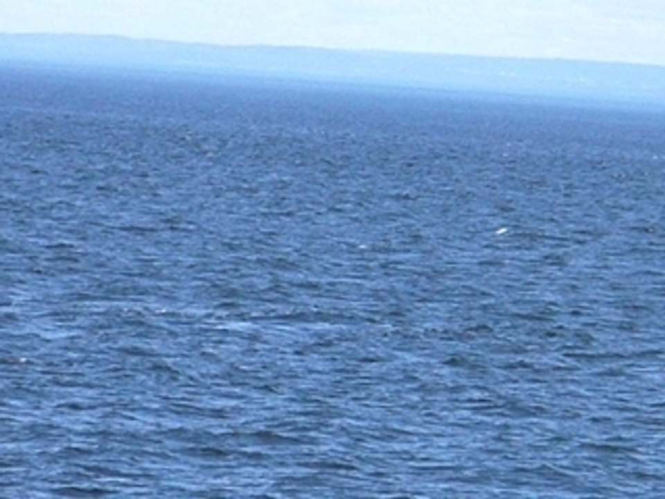 Incroyable mais vrai!