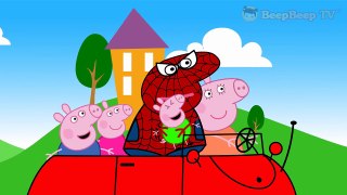 Peppa Pig Español Spiderman Saviors The Beast in Real Life Finger Family Song 4K
