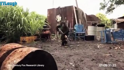 Funny videos 2016 - Stupid people doing stupid things