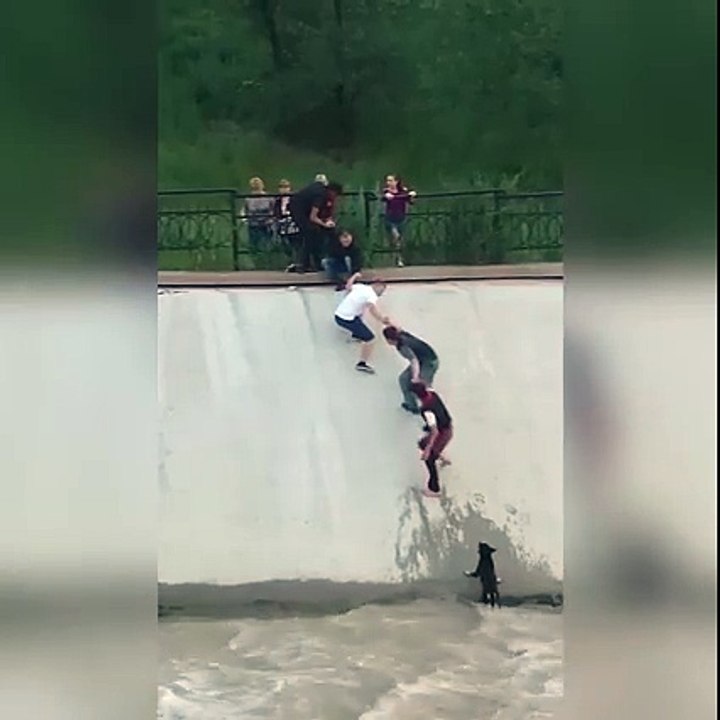 Chaine humaine pour sauver un chien dans l'eau