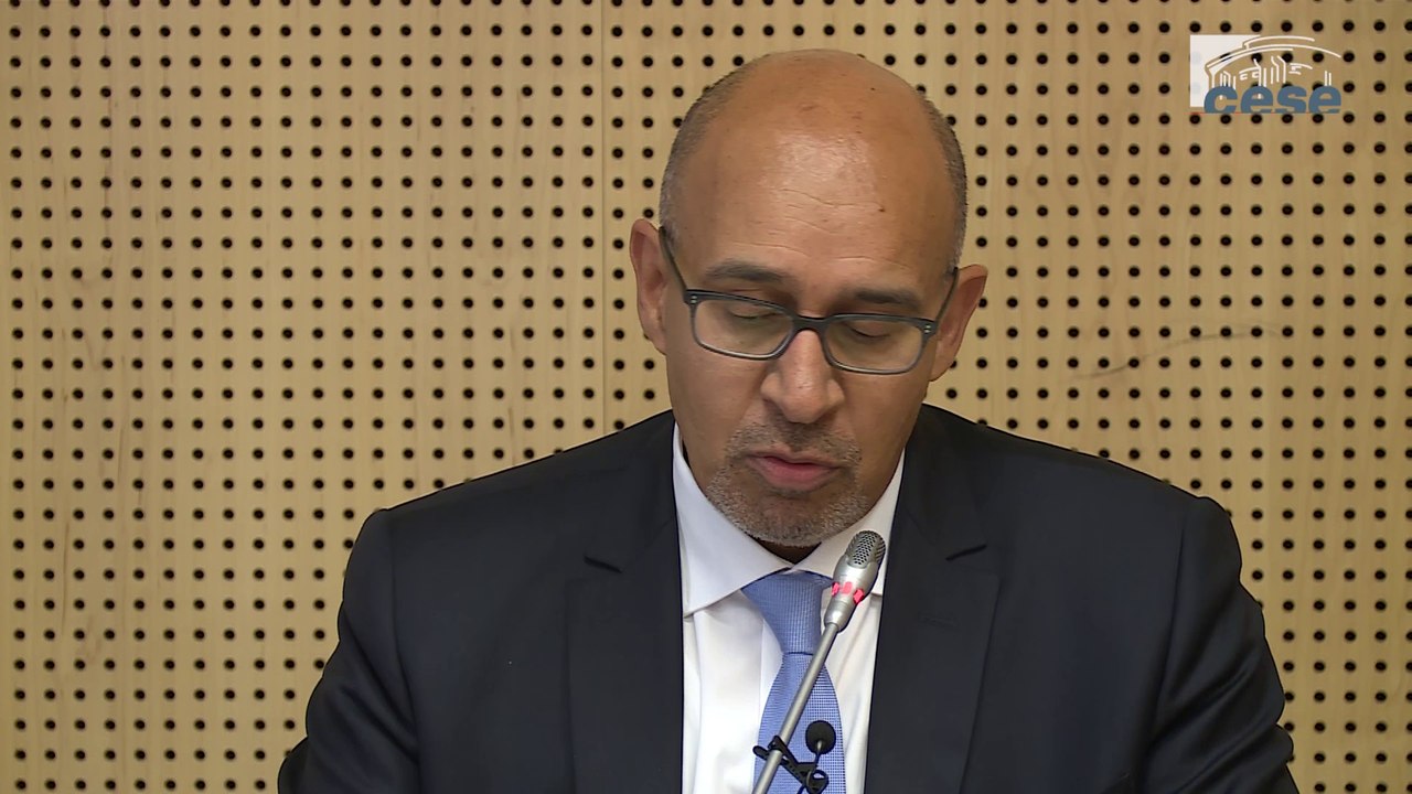 Audition de Harlem Désir, secrétaire d’Etat chargé des Affaires européennes - cese