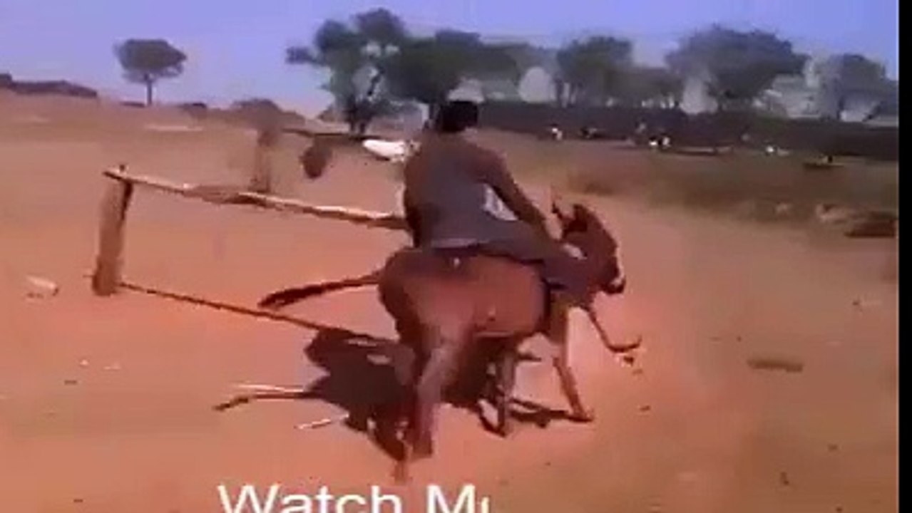 Pashto Funny Videos Part #9