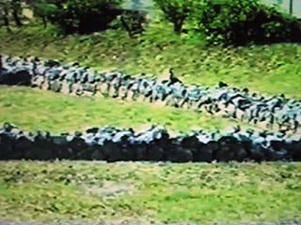 Verucchio 10         langue française