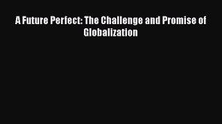 Read A Future Perfect: The Challenge and Promise of Globalization Ebook Free