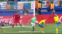 All Goals HD - Ireland 1-1 Sweden 13.06.2016 HD