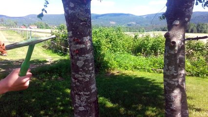 real minecraft life #1 | find the secrets