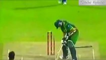 Best Destructive Pace Bowling in Cricket ● Stumps Broken ● Stumps Flying in Air ●